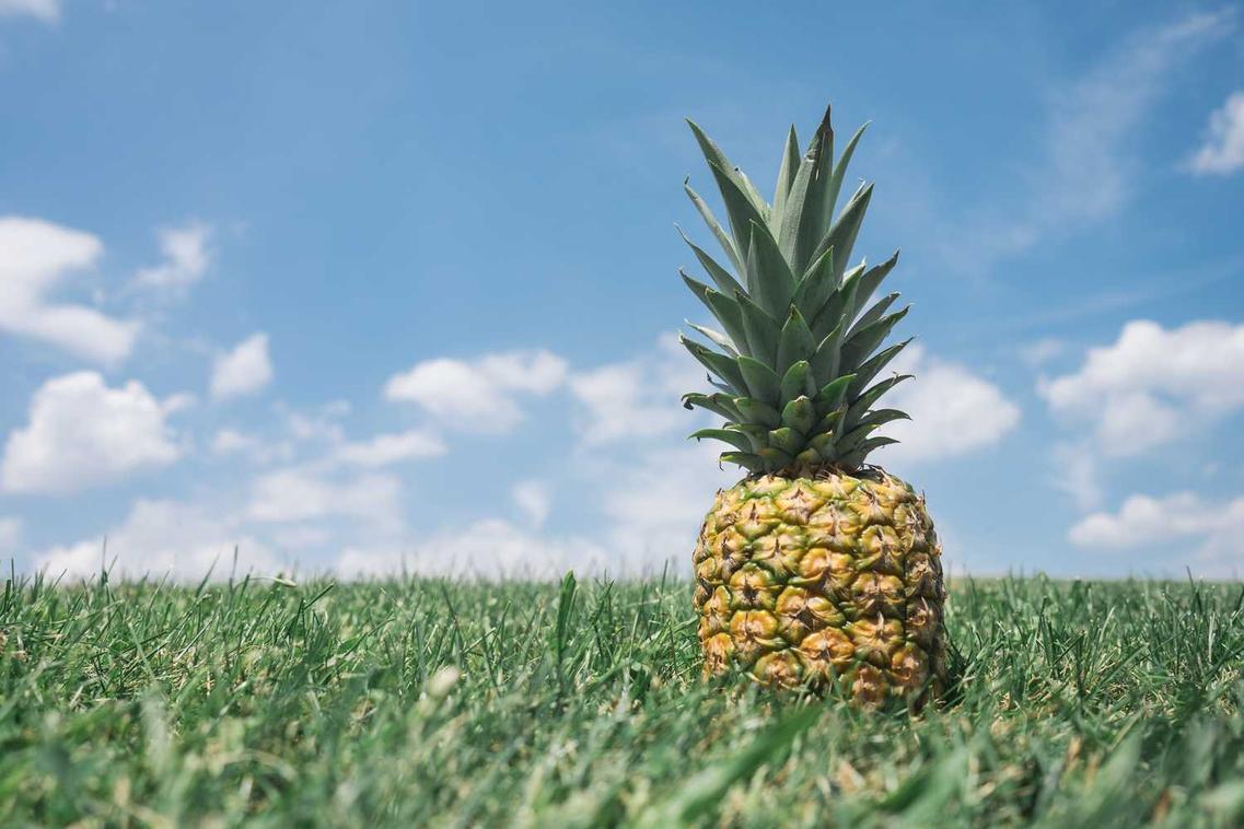 Quas consectetur ipsam qui consectetur vero nesciunt